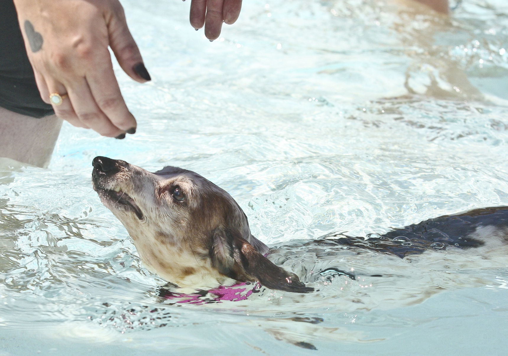 Pool Party 2 09.07.19.JPG